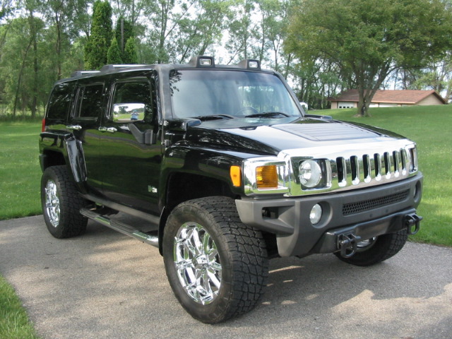 06 Hummer (1).JPG