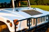 DSC_6580-HDR b.jpg