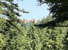 IMG_2534.JPG