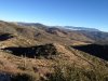 IMG_1260.jpg