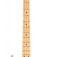 bass Player
